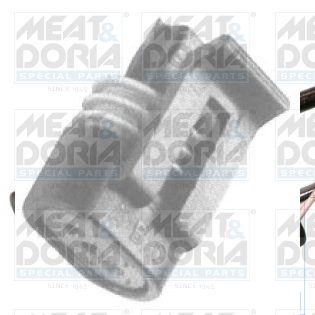 Cod. 81155