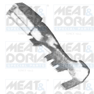 Cod. 81157
