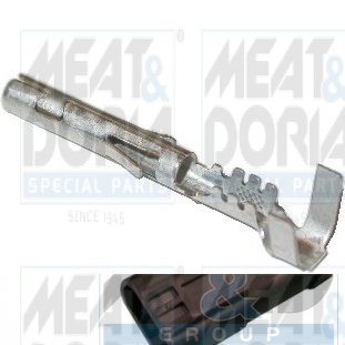 Cod. 81169