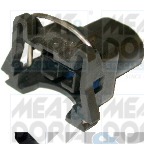 Cod. 81176