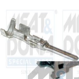 Cod. 81207